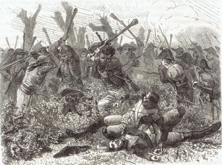 Description de l'image